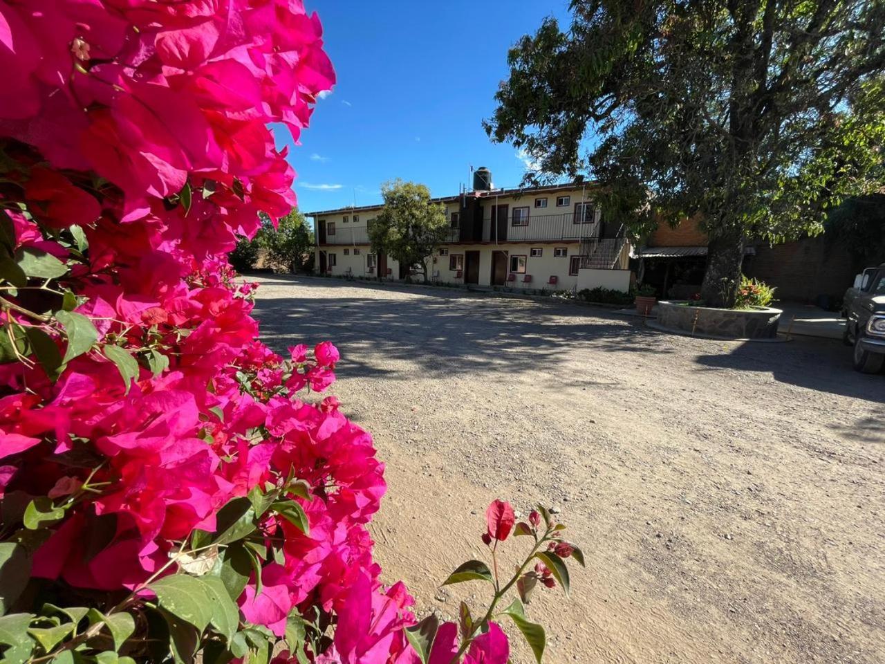 Meson La Huerta Hotel Mascota Exterior photo