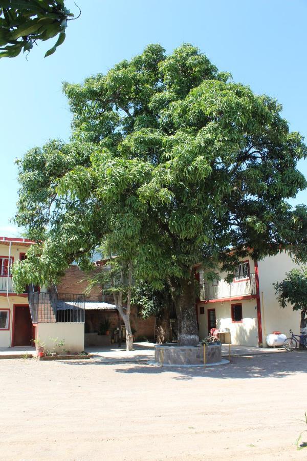 Meson La Huerta Hotel Mascota Exterior photo